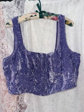 Whimsical Fairycore Wild Fable Purple Velvet Corset Top Plus Size XXL